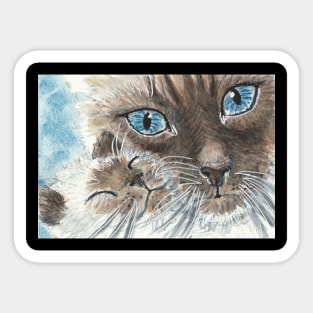 Siamese cat Sticker